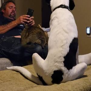 Meet your Posher, Maxwell